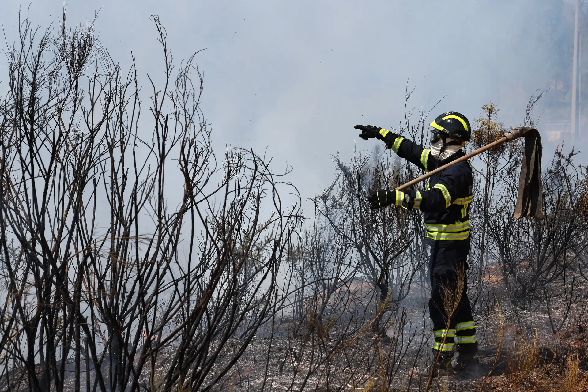 "Portugal sem chamas", a plataforma solidária para ajudar vítimas dos incêndios