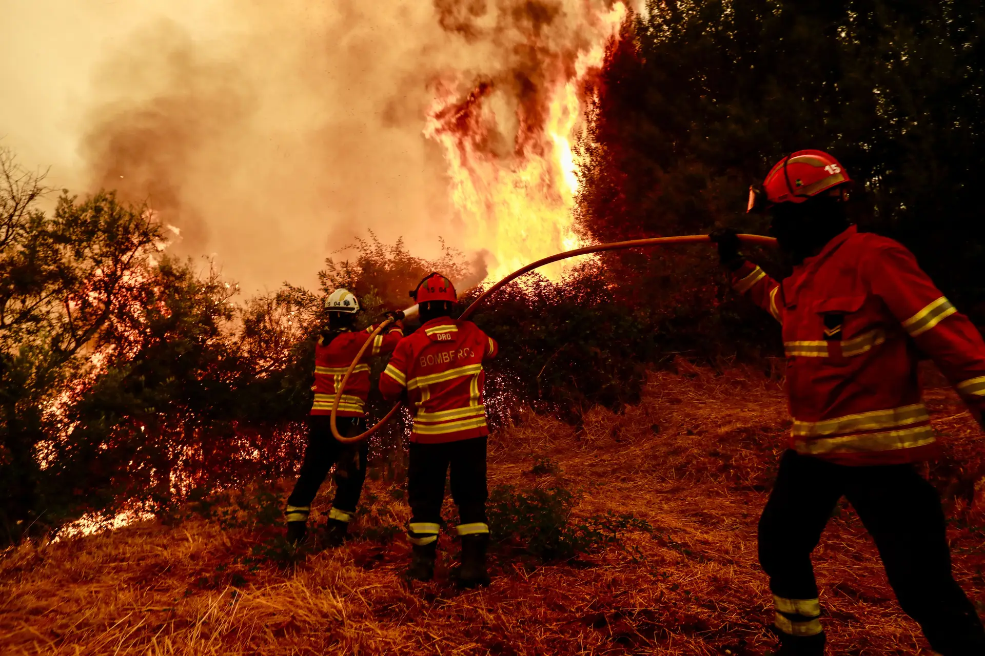 2025 já é o terceiro pior ano de sempre em área ardida