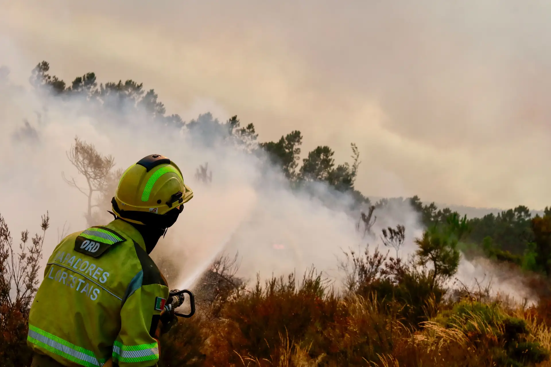 Um bombeiro durante um incêndio florestal na Covilhã, distrito de Castelo Branco, Portugal, a 19 de agosto de 2025.