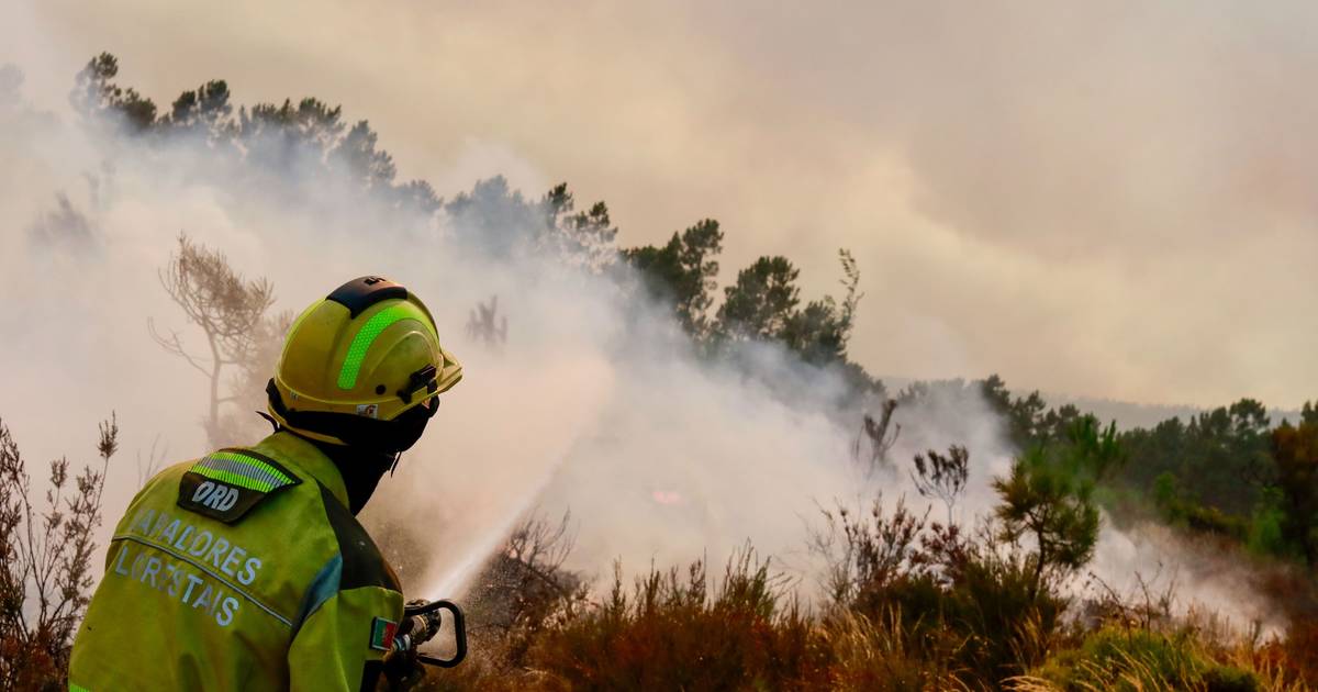 Portugal, Espanha e França criam aplicação para acompanhar evolução dos incêndios em tempo real