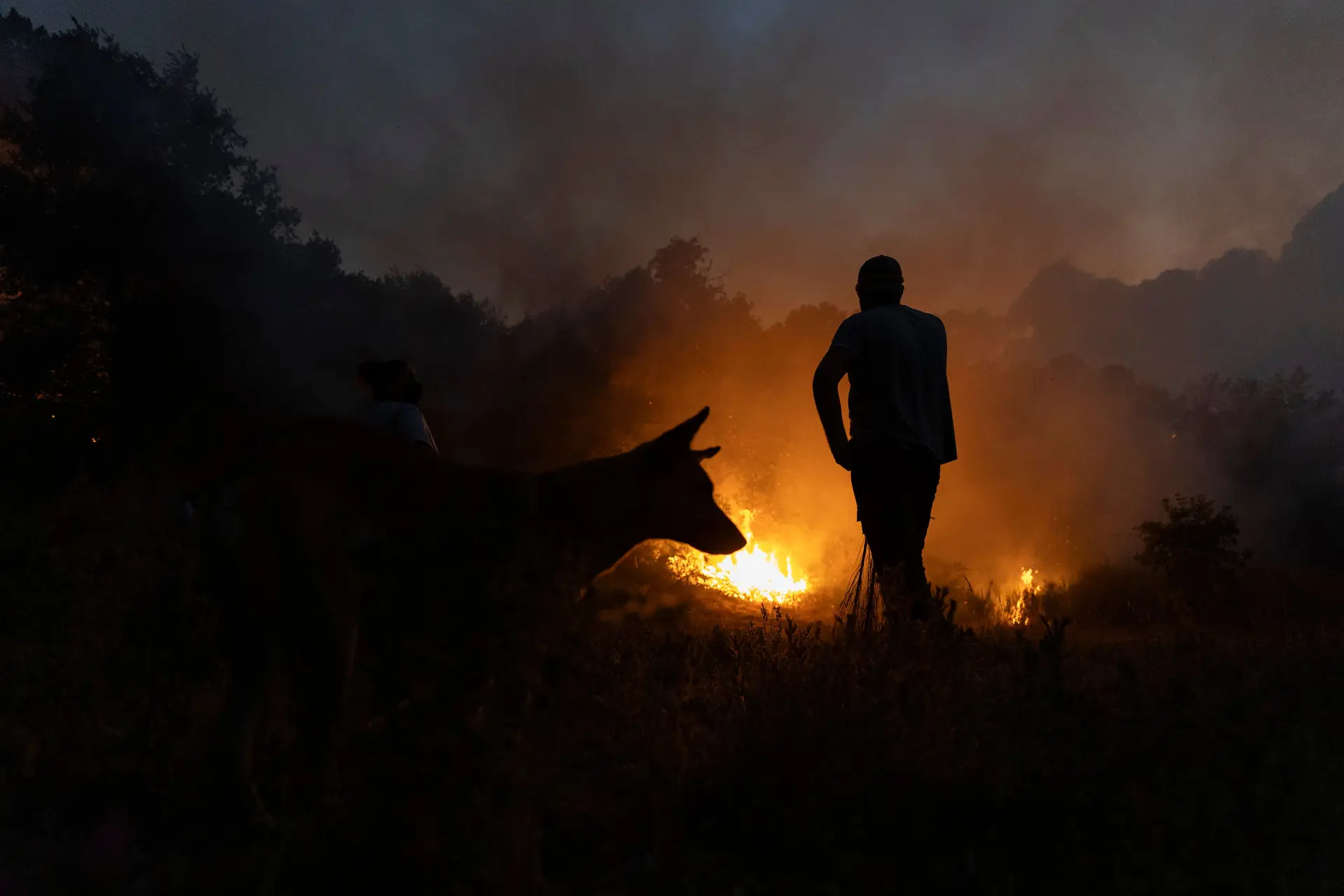 Combate aos incêndios começa na prevenção com gestão da terra