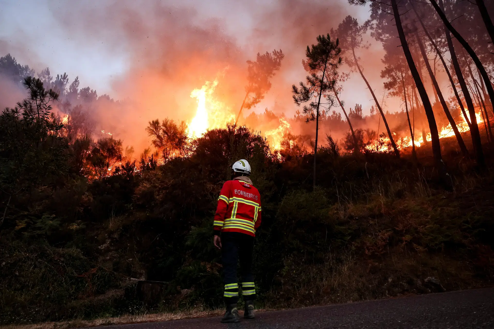 Presidente promulga diploma do Governo com medidas de apoio às populações afetadas pelos fogos