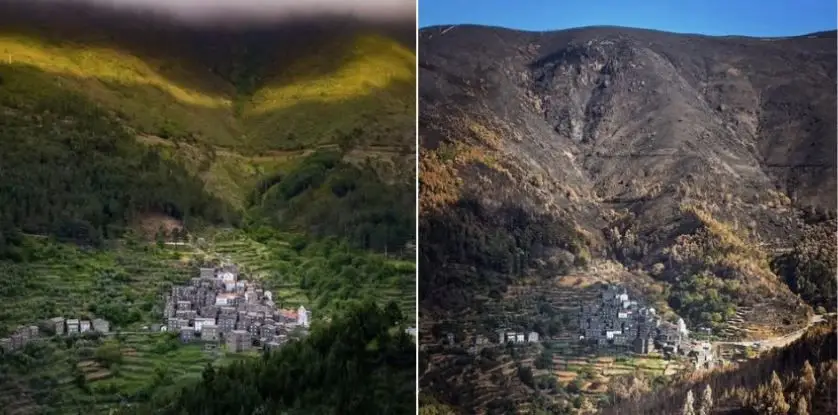 Combate aos incêndios começa na prevenção com gestão da terra