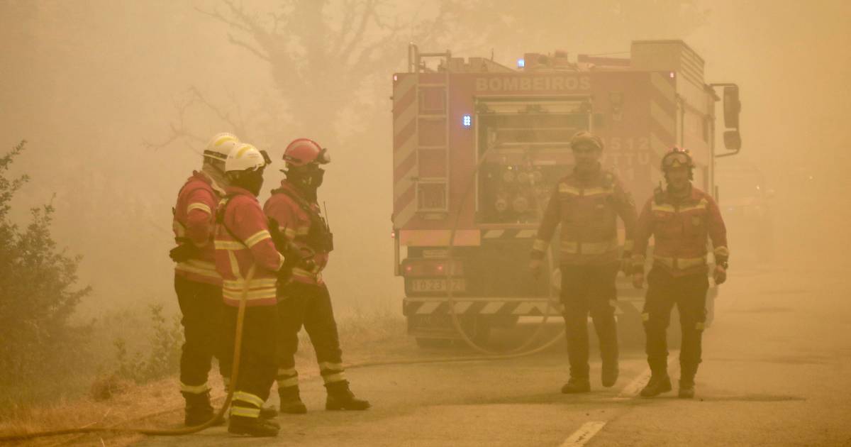 Incêndio em Vale de Cambra dominado: não há registo de casas ameaçadas