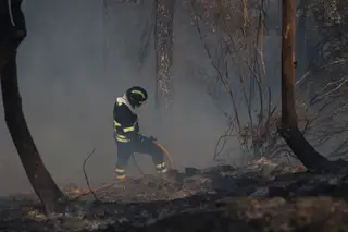 Homem terá ateado incêndio em Seia por desavenças com um vizinho