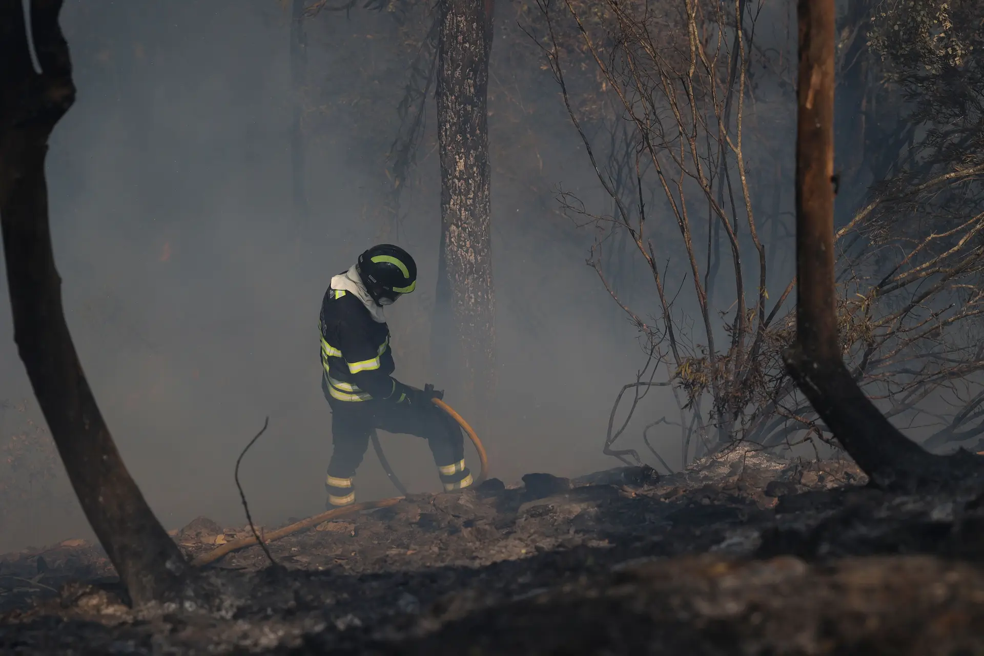 Perigo máximo de incêndio em 17 concelhos de quatro distritos