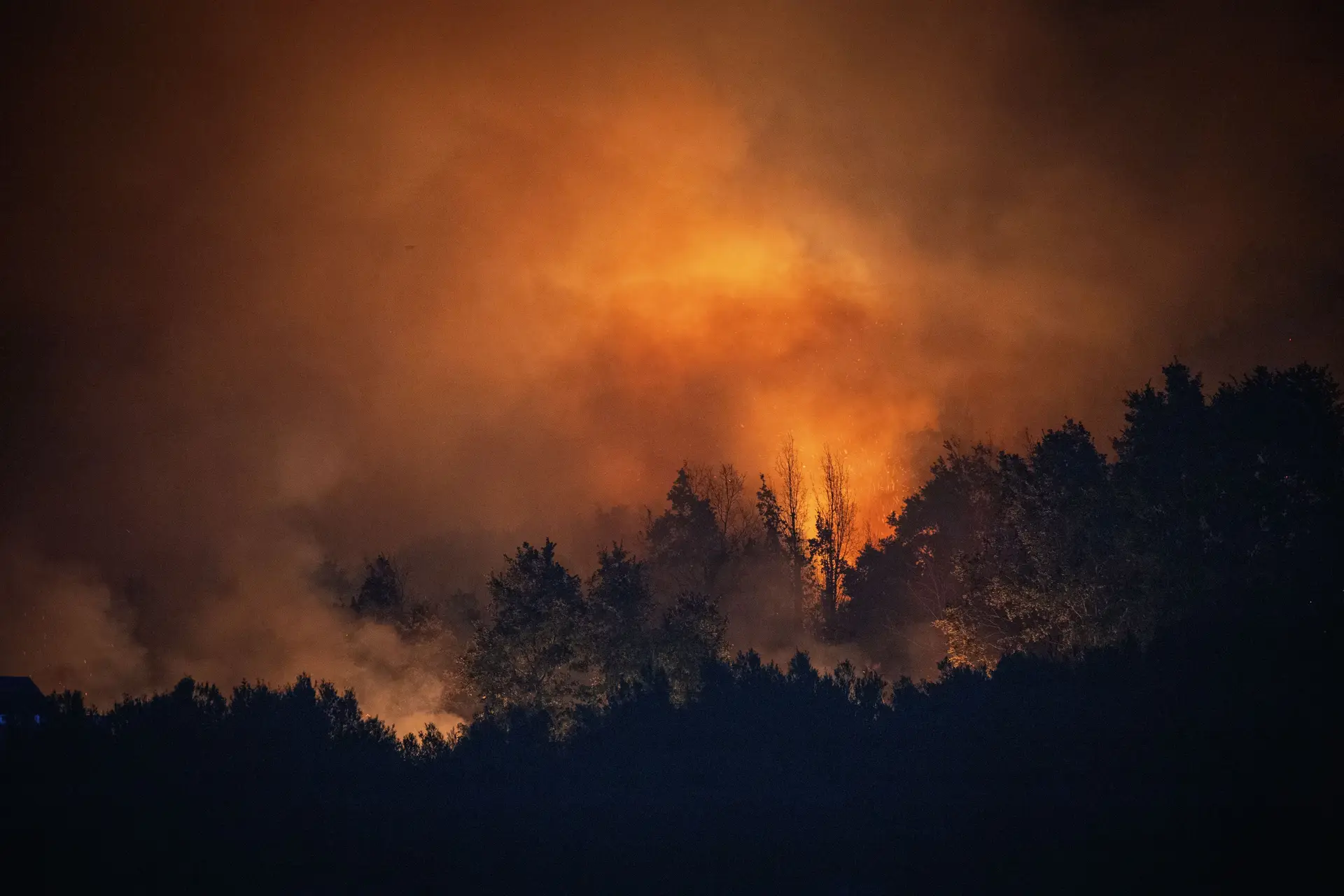 Câmara alarmada com milhões de euros de prejuízo causado pelos fogos em Sernancelhe
