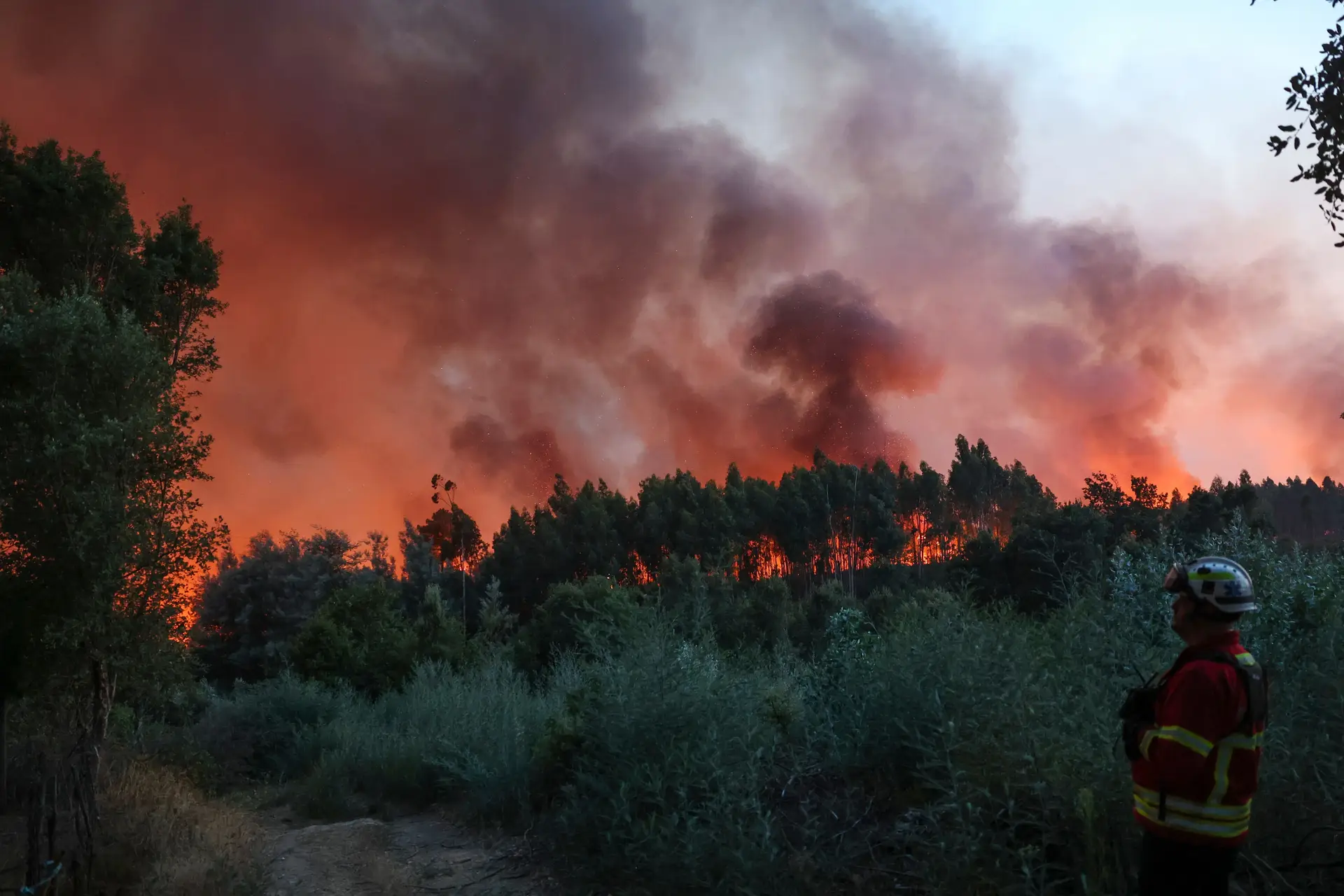 GNR apanha incendiário em flagrante em Valença