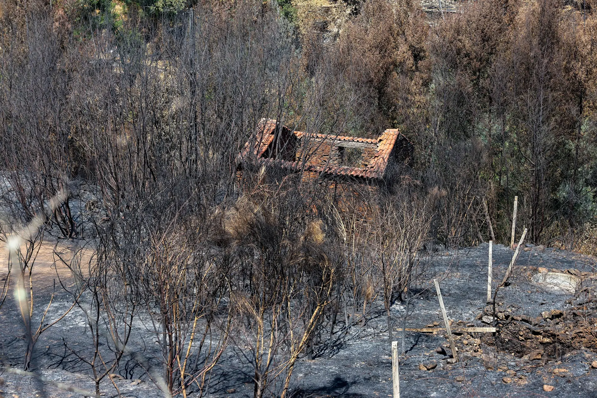 Fogo em Arcos de Valdevez mobiliza mais de 110 operacionais e é o único ativo no país