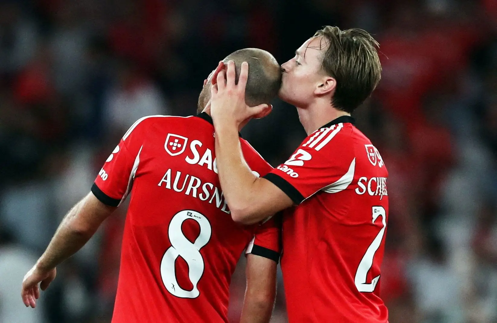 Aursnes e Schjelderup