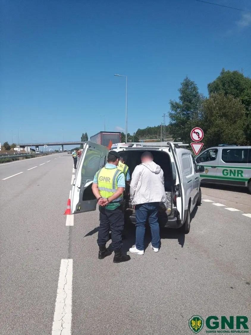 GNR deteta 120 infrações durante fiscalização tributária nos acessos a mercados abastecedores