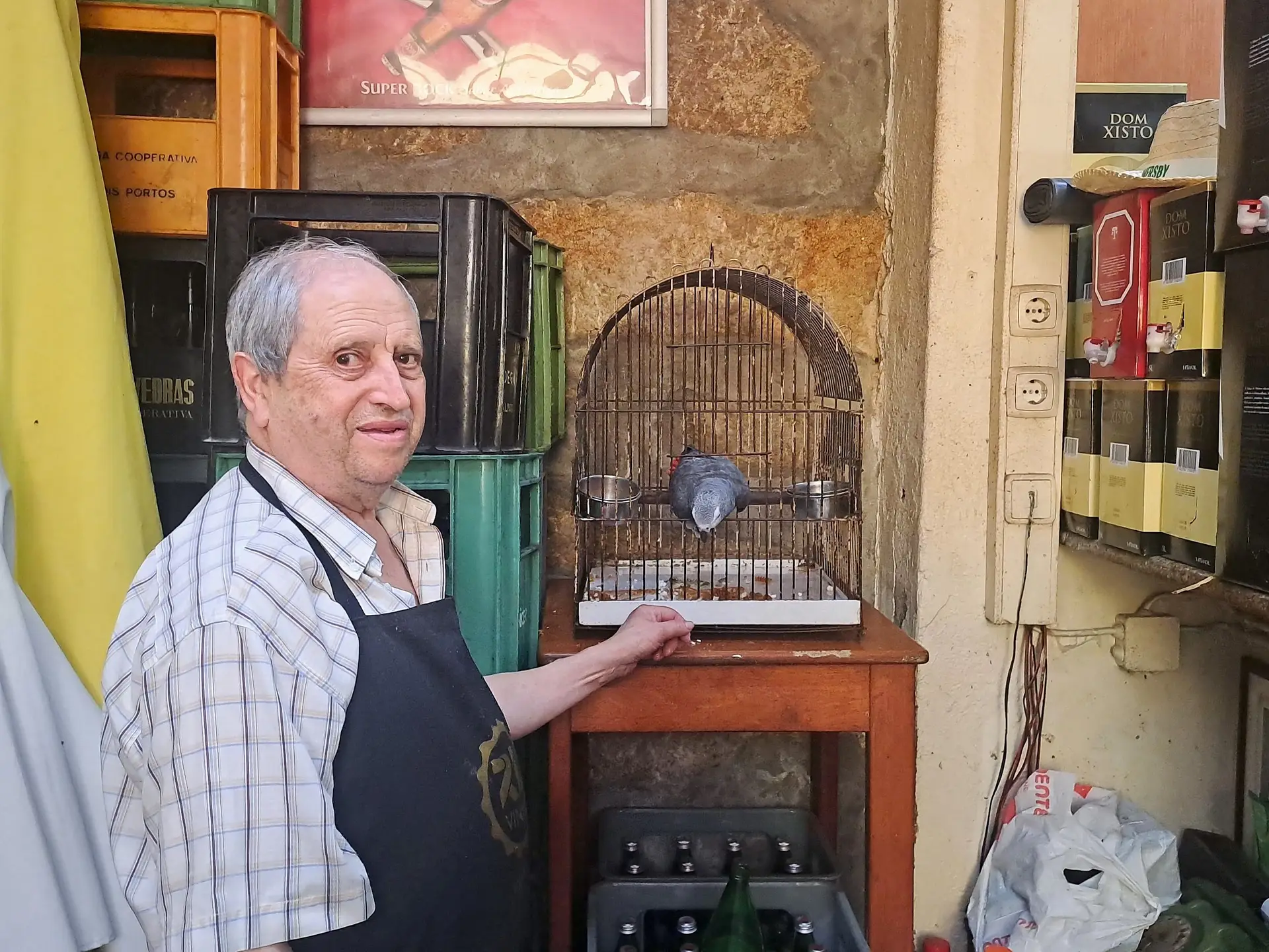 Adega Stadium - Zé Papagaio