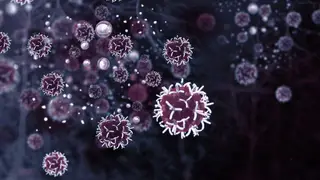 Combater o cancro: cientistas descobrem novas formas de reprogramar células