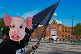Do Campo Pequeno a São Bento, marcha pelos direitos dos animais em Lisboa reuniu centenas de pessoas