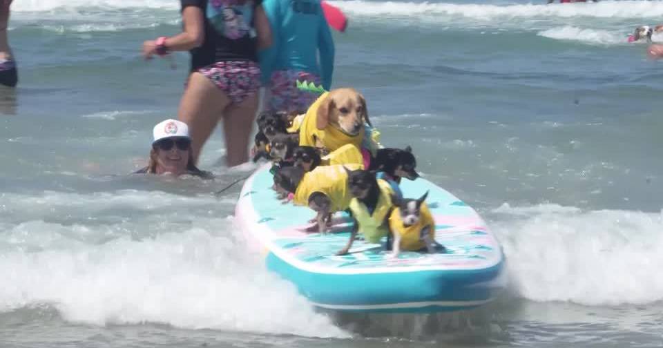 mw 1200?outputFormat=jpeg