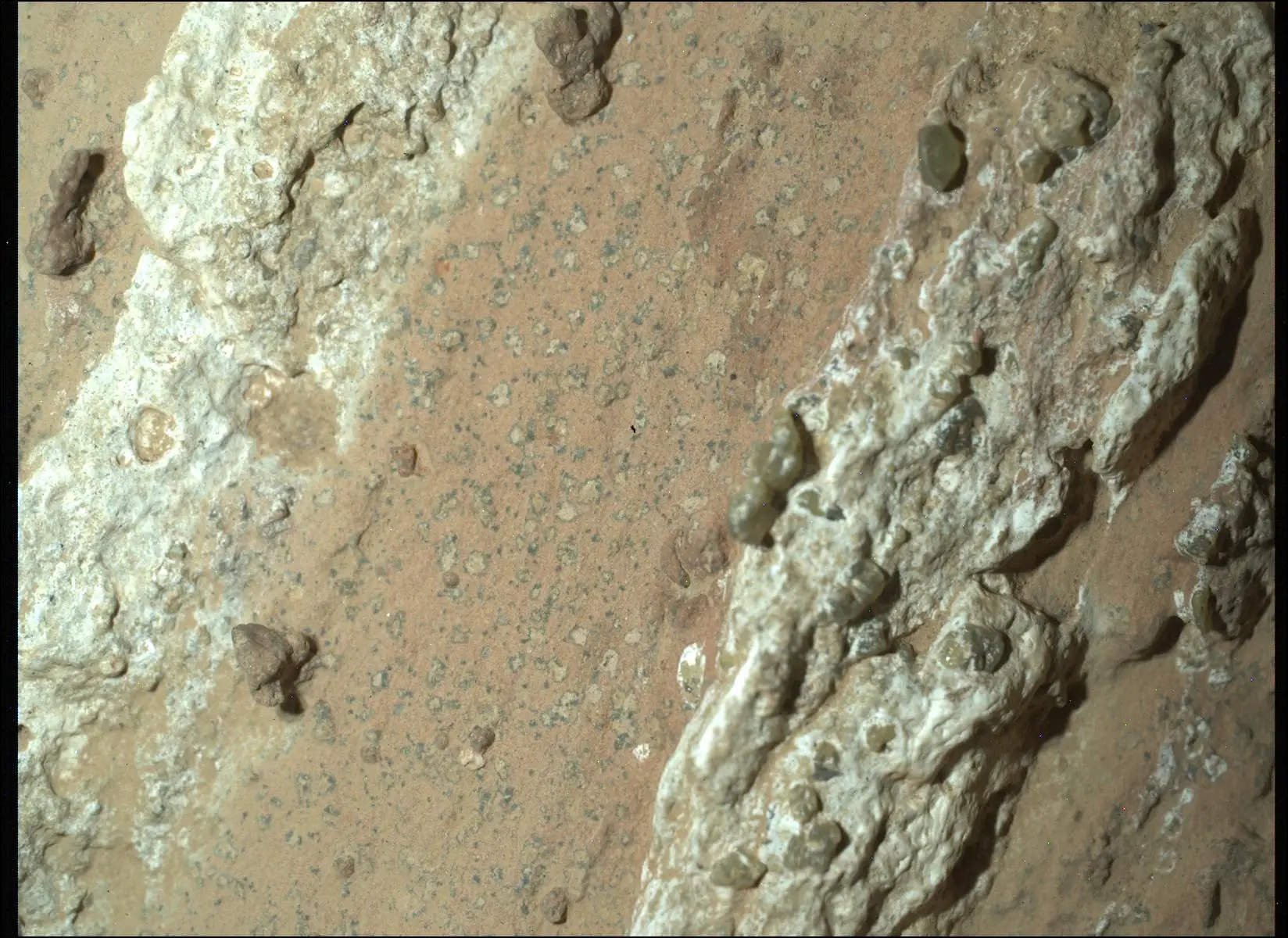 O rover Perseverance da NASA descobriu manchas de leopardo numa rocha avermelhada apelidada de "Cheyava Falls" na Cratera Jezero de Marte em julho de 2024. Os cientistas acreditam que as manchas podem indicar que, há milhares de milhões de anos, as reações químicas nesta rocha poderiam ter sustentado vida microbiana.
