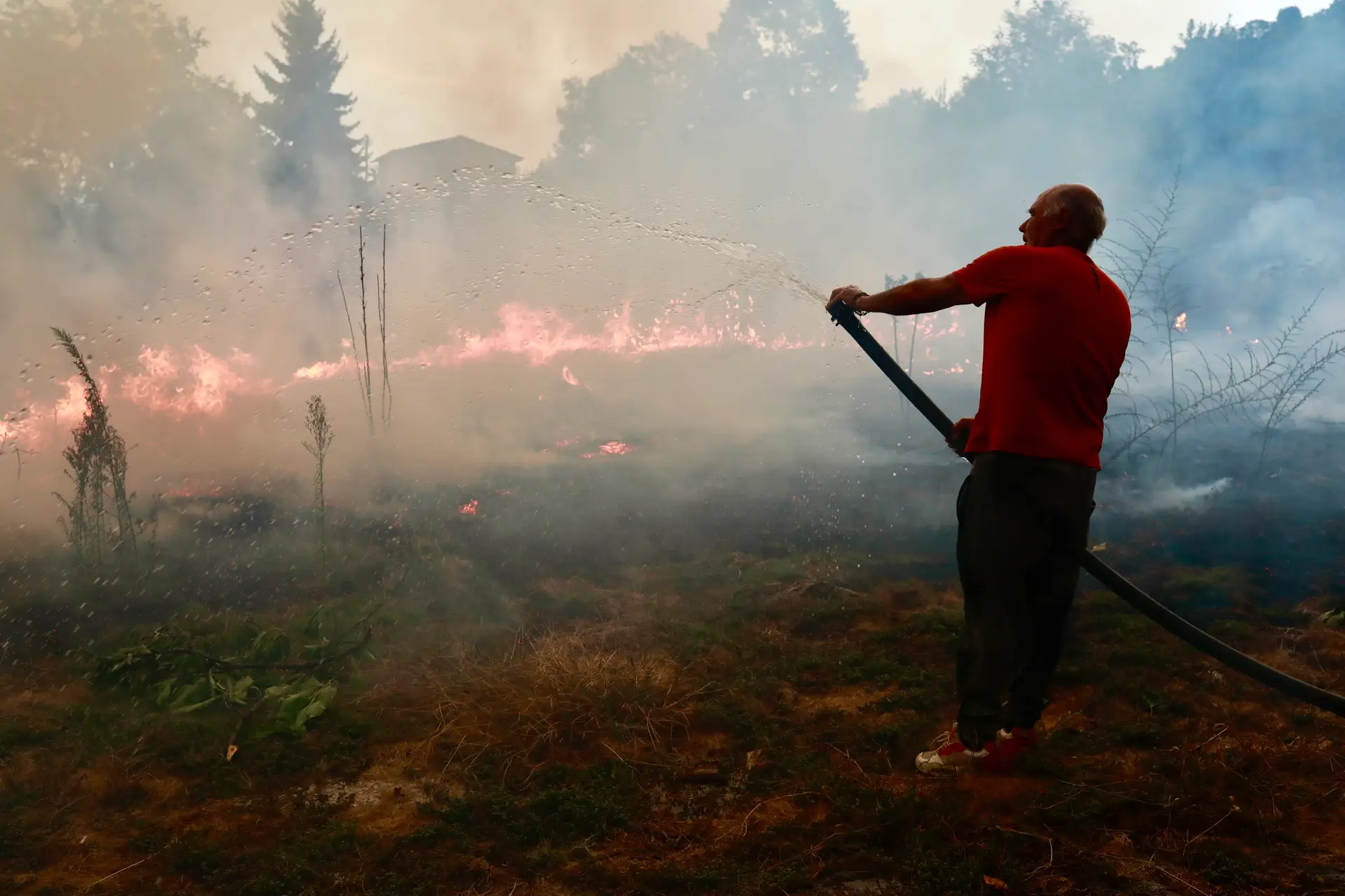 20 minutos: cinco bombeiros feridos em incêndios no distrito de Viseu e MP pede mais documentos a Montenegro sobre Spinumviva