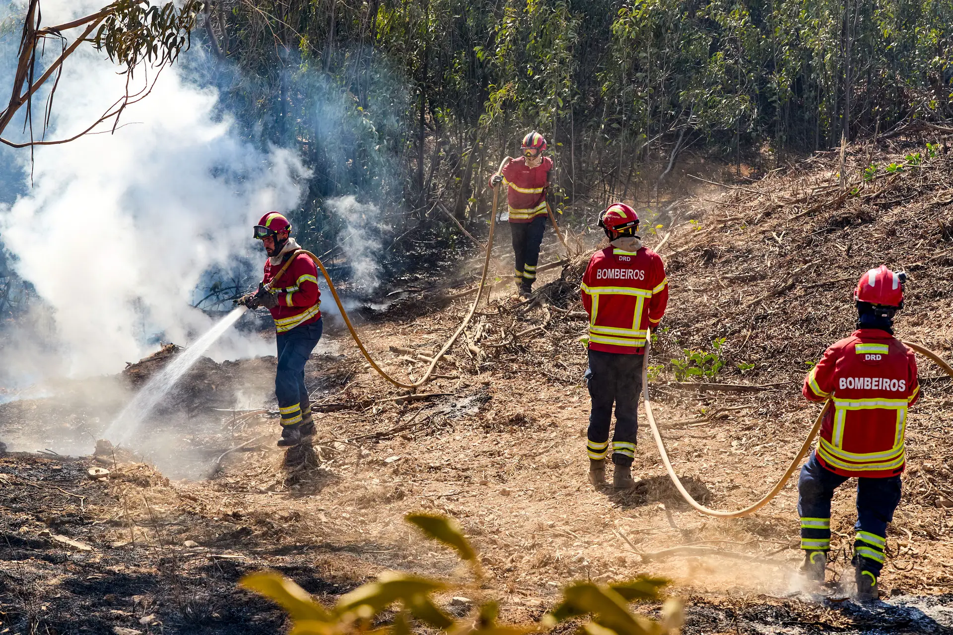 Parlamento chumba reconhecimento de bombeiro como profissão de desgaste rápido
