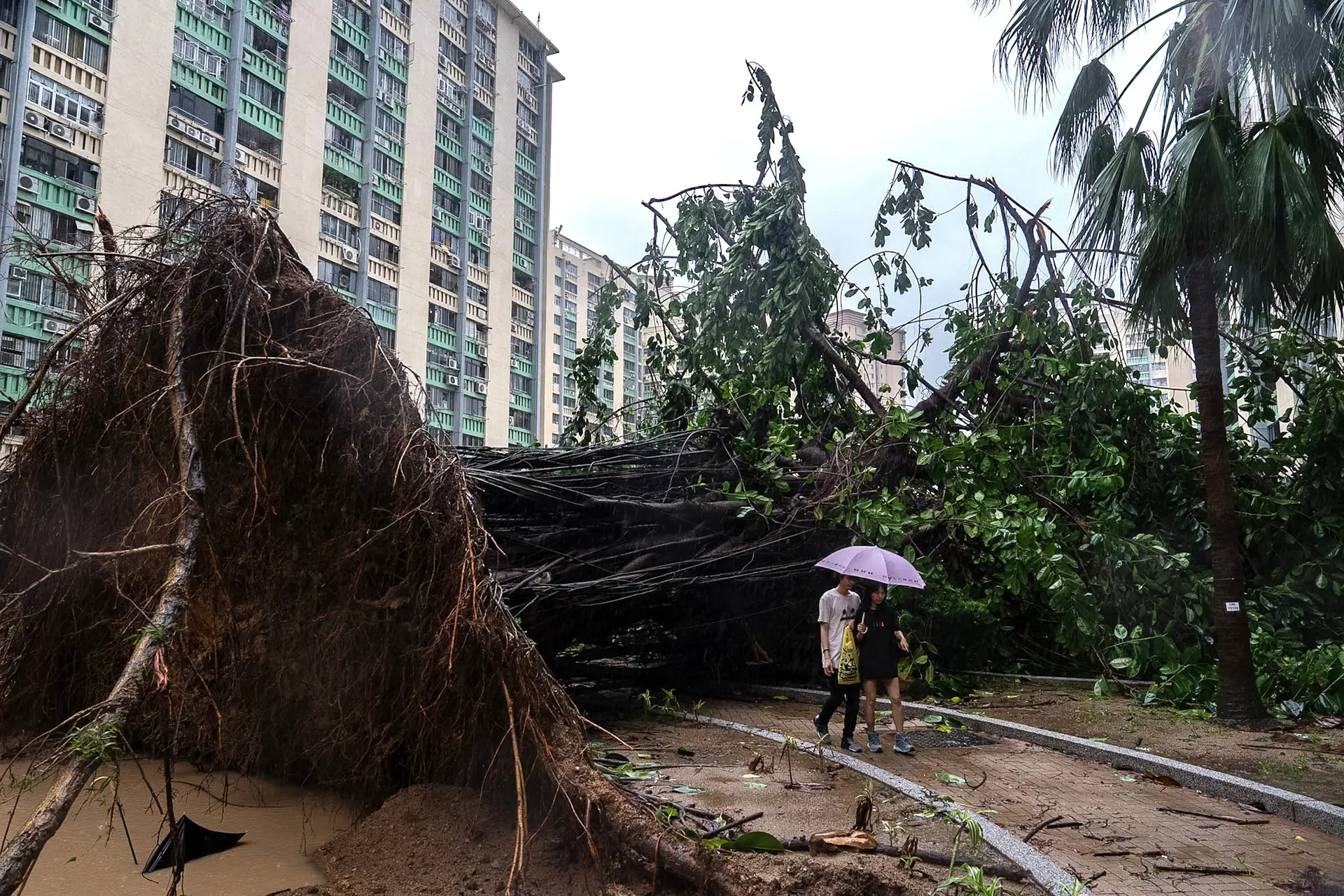 Supertufão Ragasa enfraquece para tempestade tropical após atingir sul da China