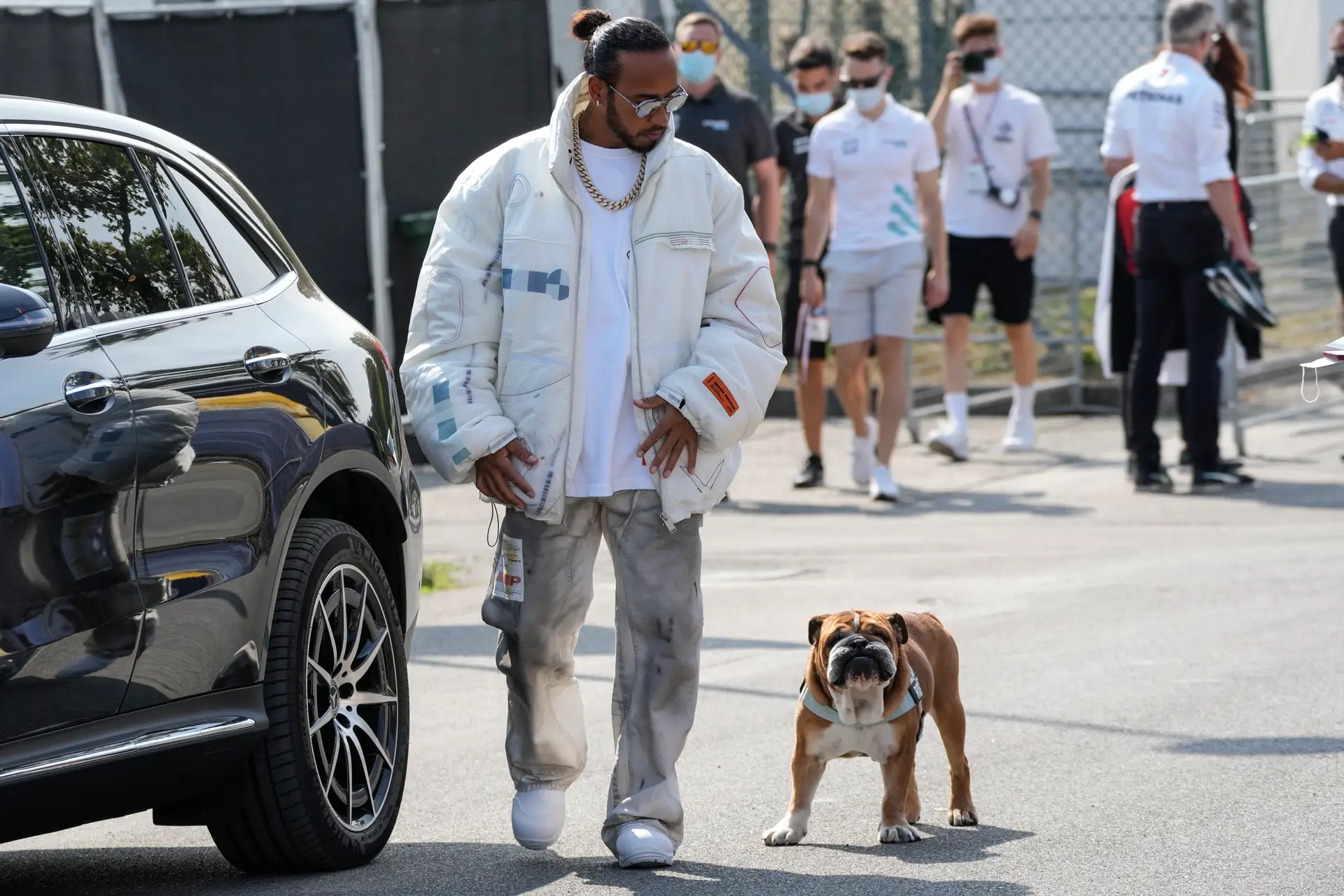 Lewis Hamilton falha compromisso na Ferrari após o seu cão entrar em coma: "Não sabemos se vai acordar"