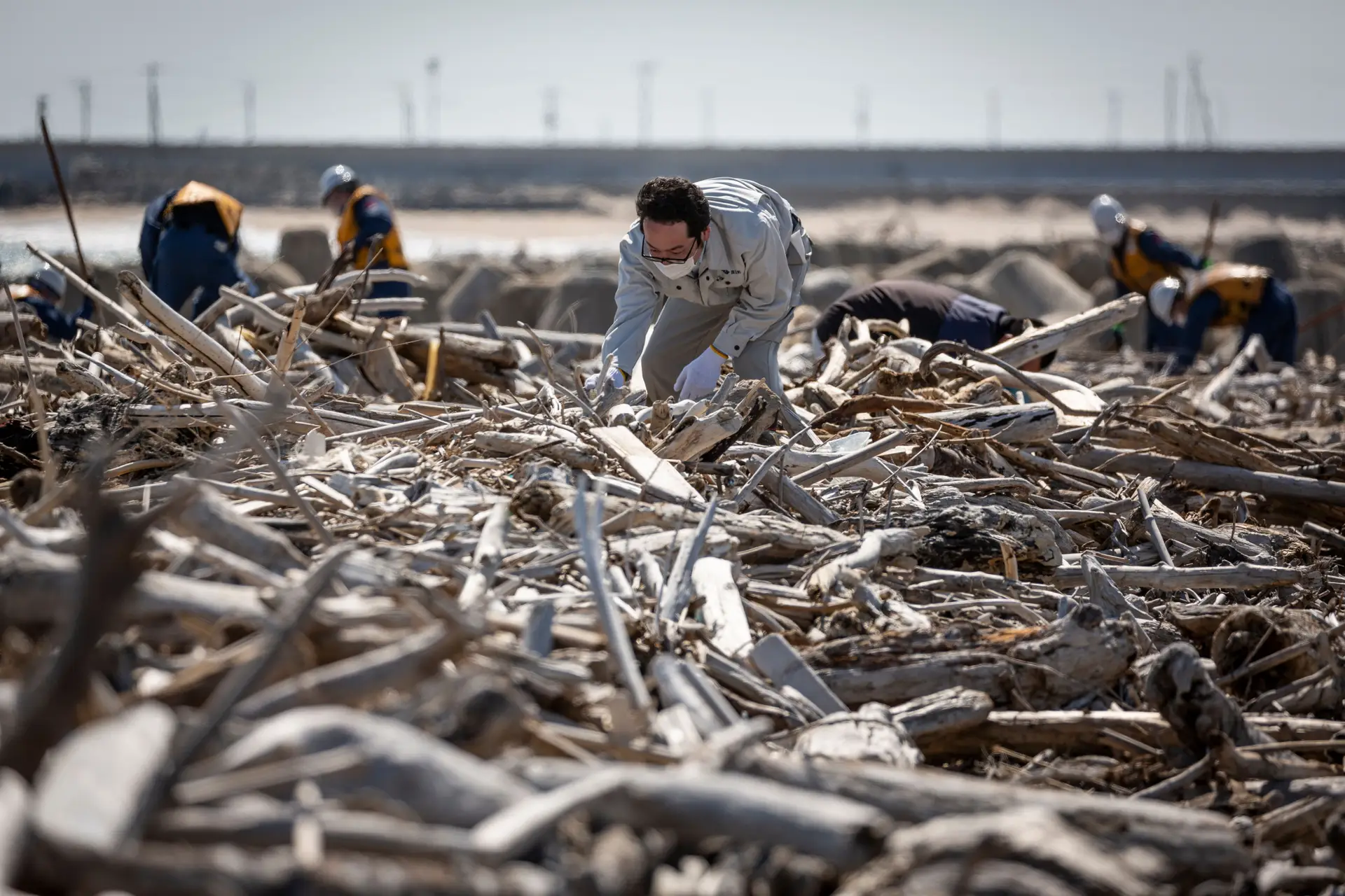 Pedaços de dentes e do maxilar ajudam a identificar restos mortais de menina desaparecida após sismo em Fukushima
