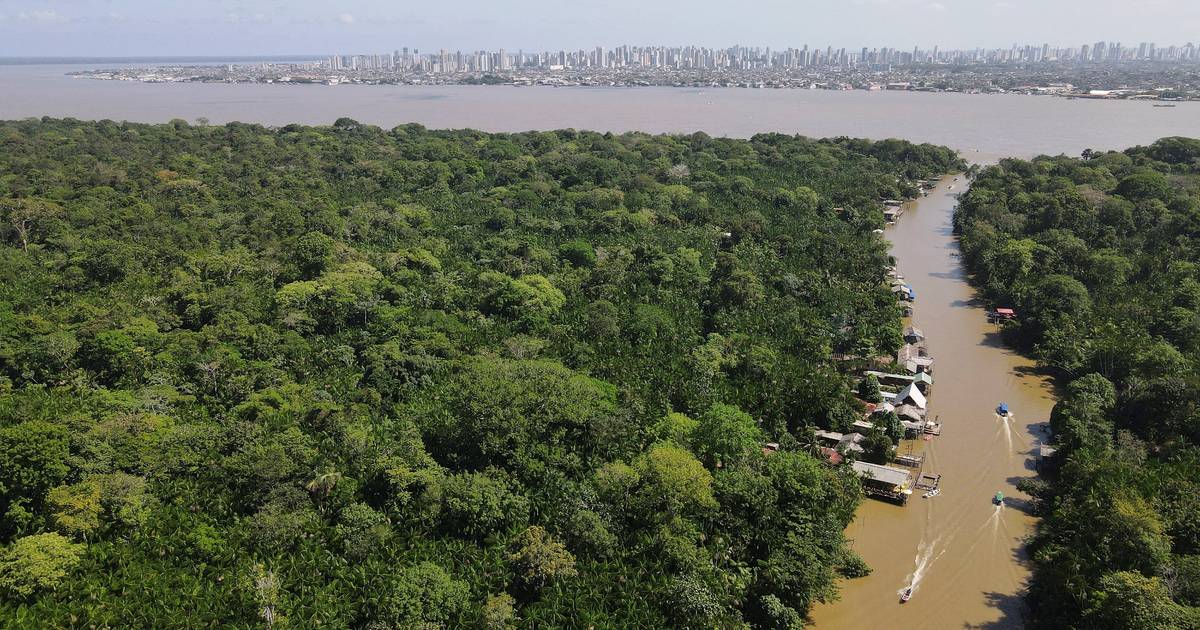 Flotilha Yuka Mama vai do Equador ao Brasil para denunciar excessos na exploração florestal