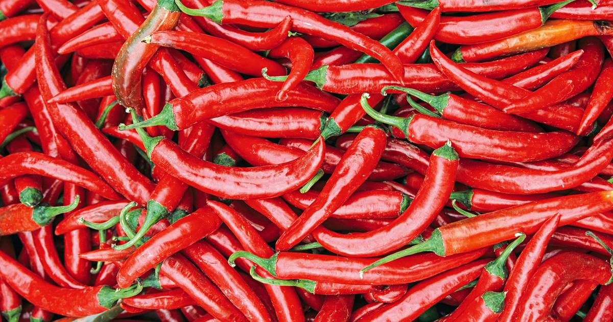 “Uma vez fizemos um arroz de marisco e borrifei-o com isto. Fomos a correr para a casa de banho’’: Felner experimenta os melhores picantes