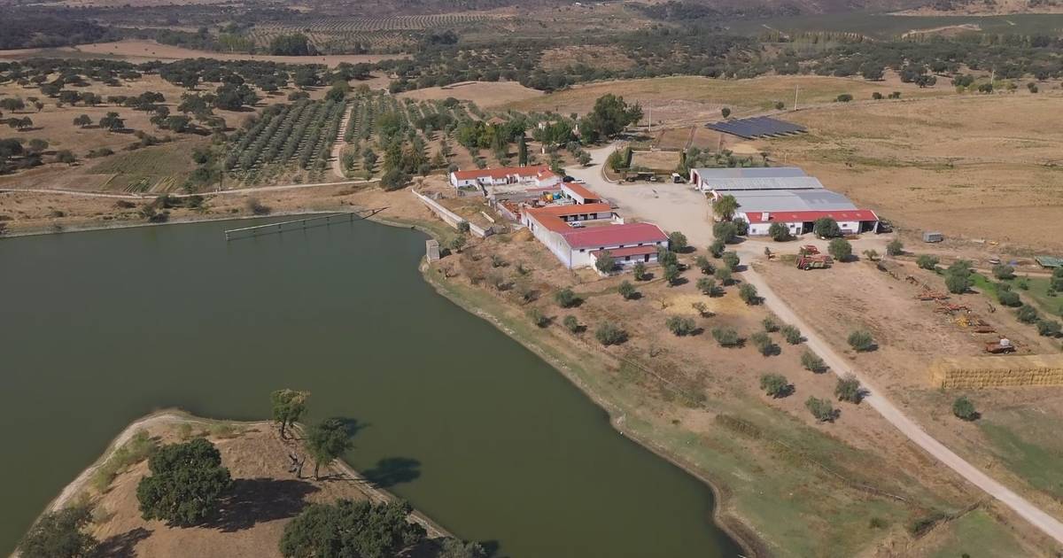 Agricultura regenerativa: Monte Silveira pretende 'afinar' técnicas de total respeito pela natureza