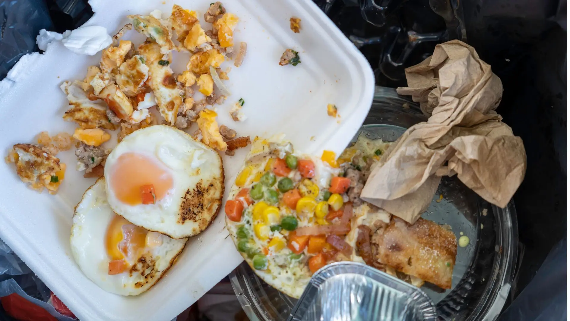 Dieta rica em gordura aumenta risco de cancro do fígado, revela Estudo