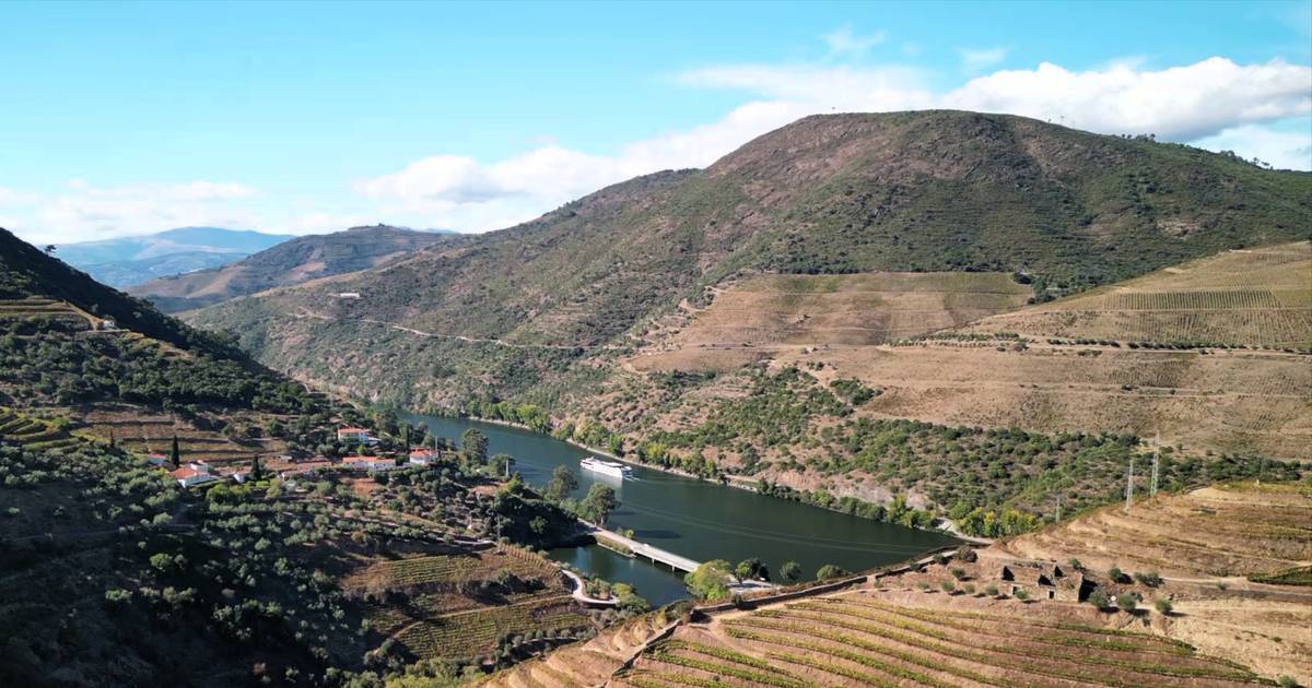 Feira da Maçã: Armamar celebra sabores regionais entre o Douro e a montanha