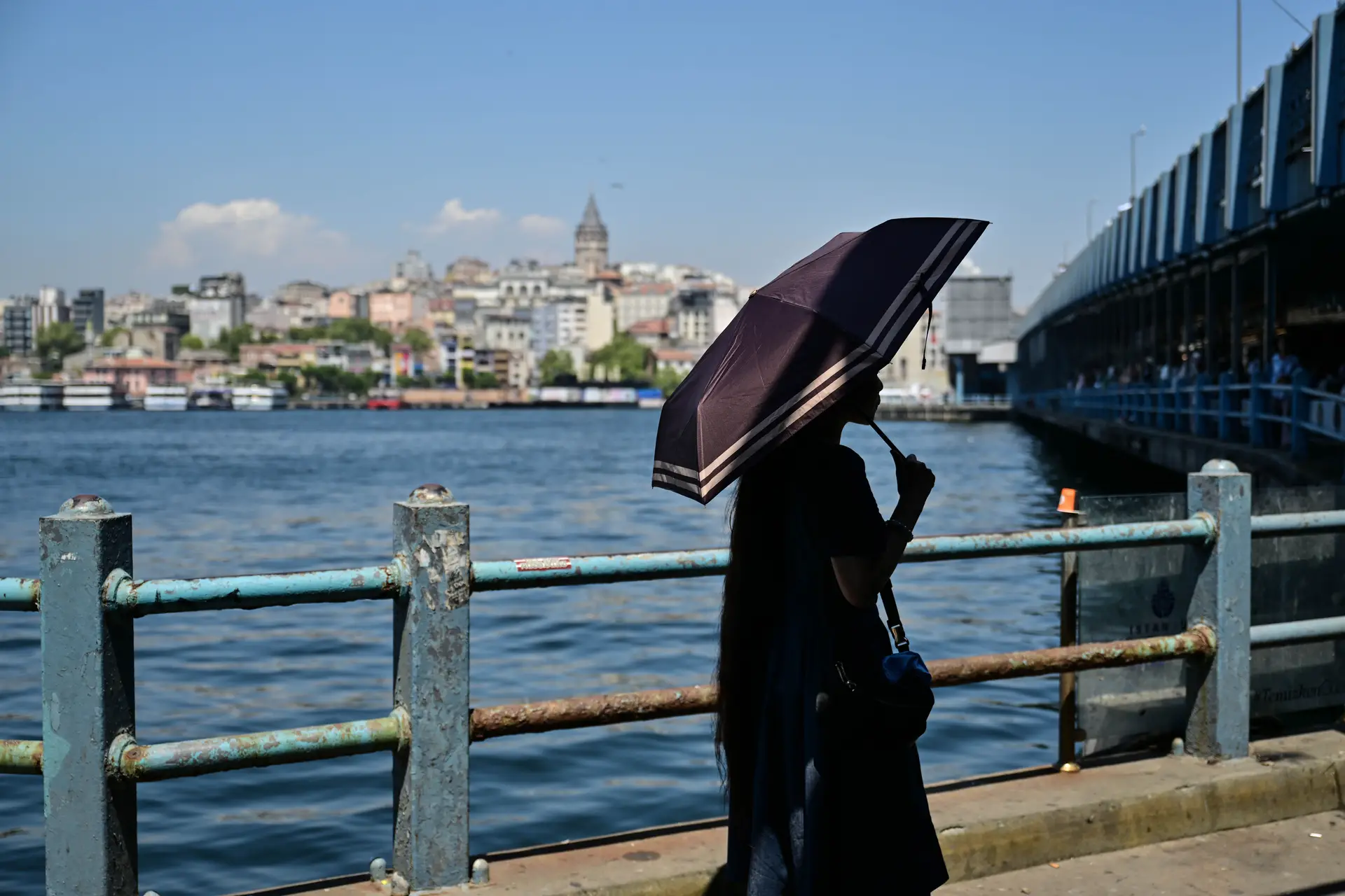 "O calor mata pessoas": número de meses com temperaturas perigosamente elevadas está a aumentar 