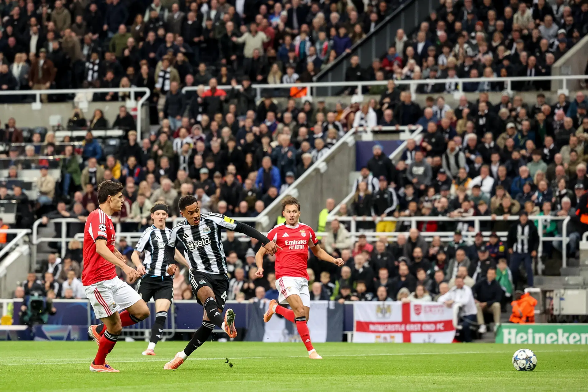 Pesadelo em Newcastle: Benfica perde por 3-0 e continua sem vencer na Champions