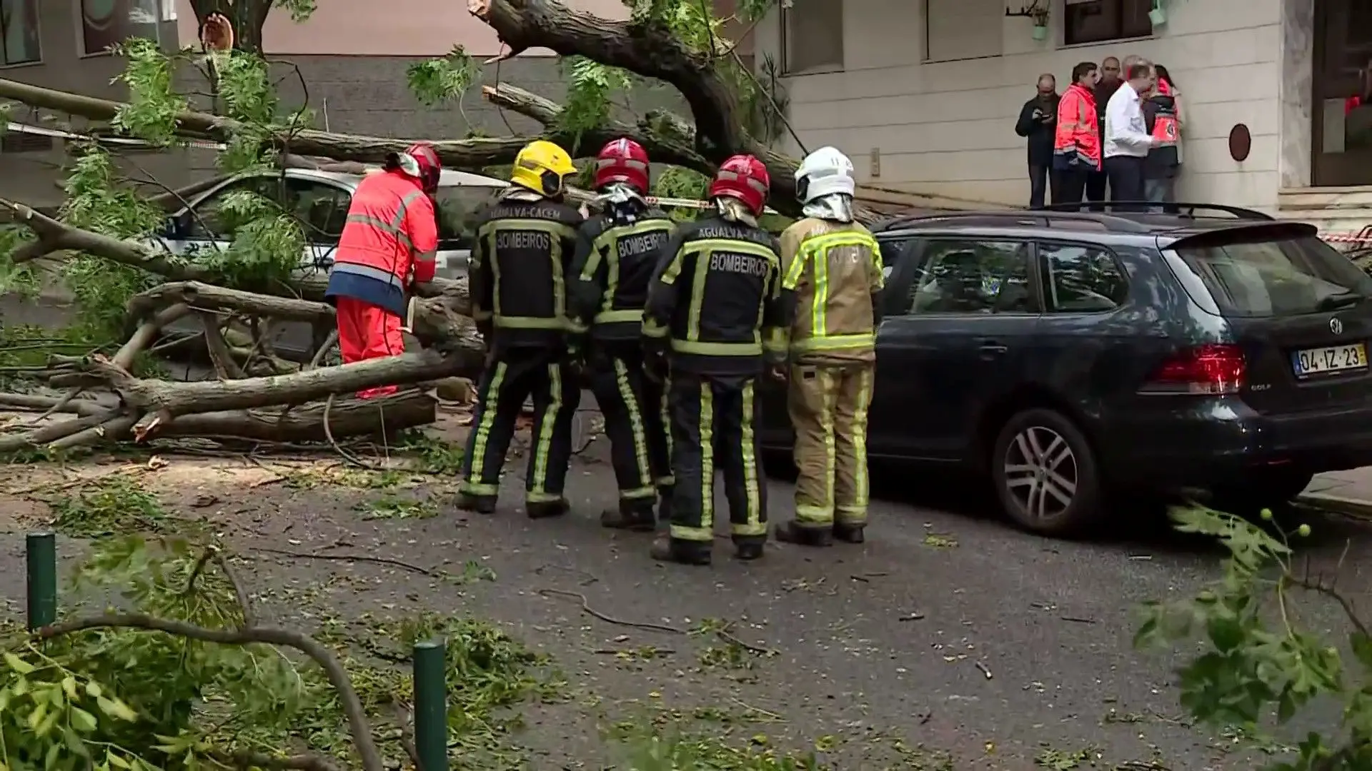 Vento e chuva intensa provocam queda de árvores e danificam vários carros em Lisboa e Sintra