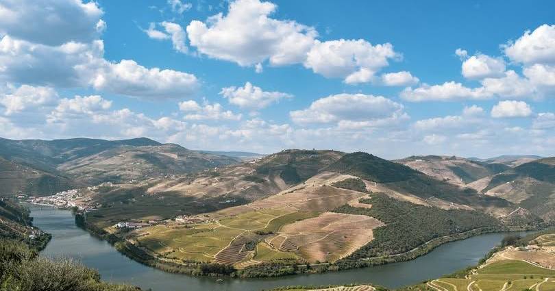 Turismo exclusivo no Douro: uma experiência imersiva pelo mundo dos vinhos