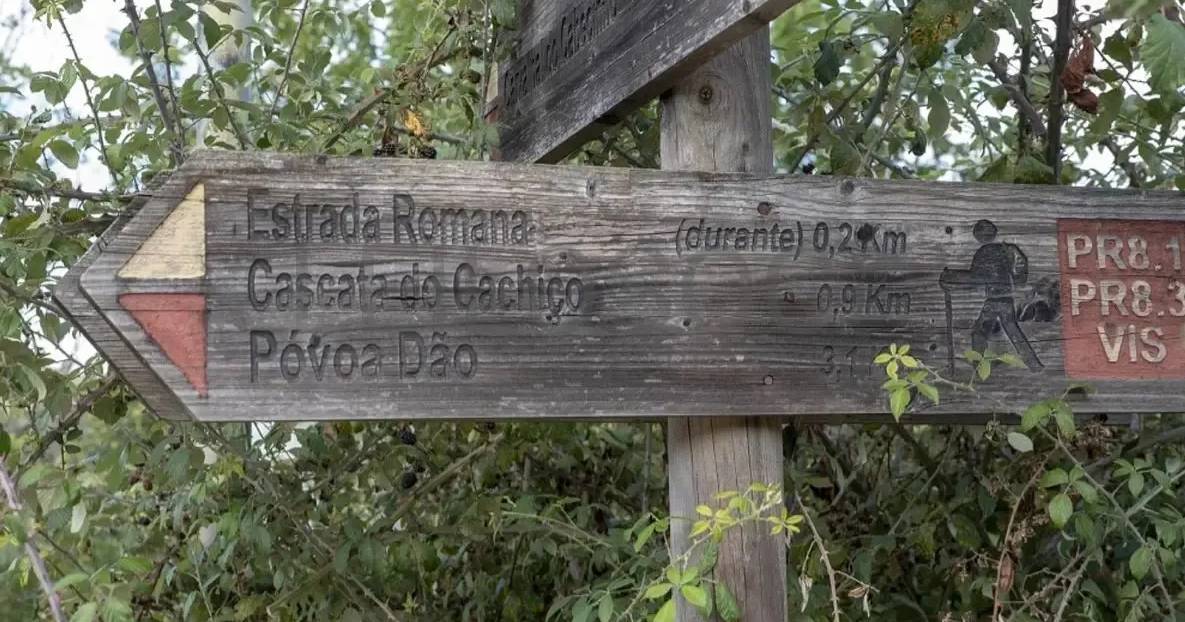 Aldeia histórica situada a "10 minutos de Viseu" e com acesso "direto ao rio Dão" está à venda