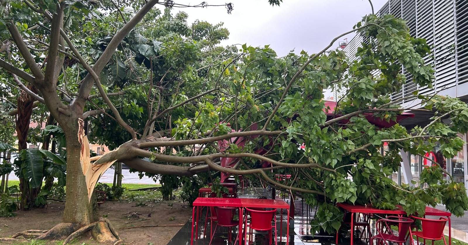 Depressão Cláudia: chuva forte alagou ruas no Alentejo e Algarve ...