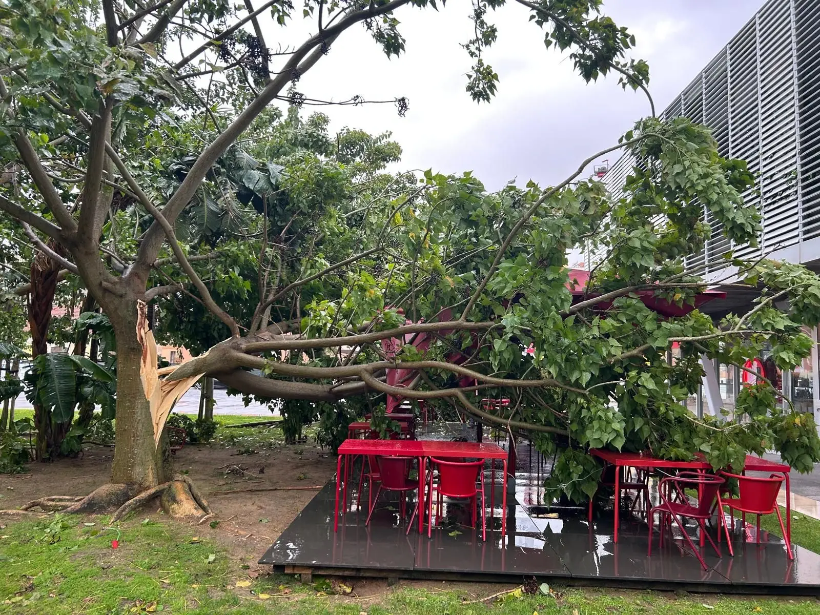 Depressão Cláudia: chuva forte alagou ruas no Alentejo e Algarve, mais de 220 ocorrências até às 16h00