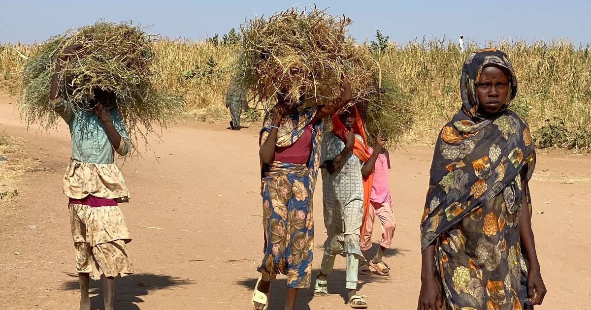 Conflito sem fim à vista no Sudão deixa mulheres vulneráveis a fome e abusos sexuais