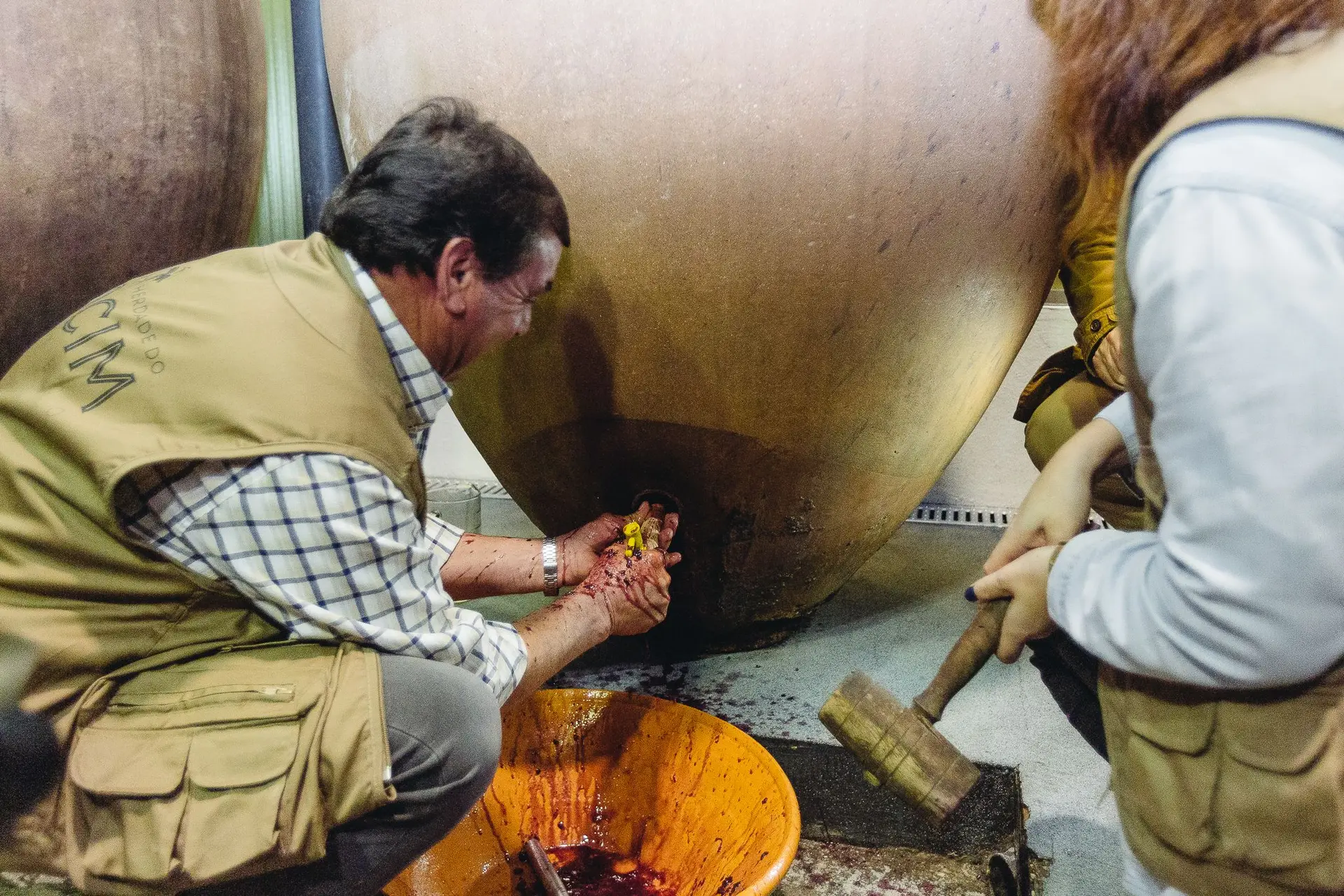 Vinhos de ânfora: ritual da abertura das talhas celebra-se este sábado na Vidigueira