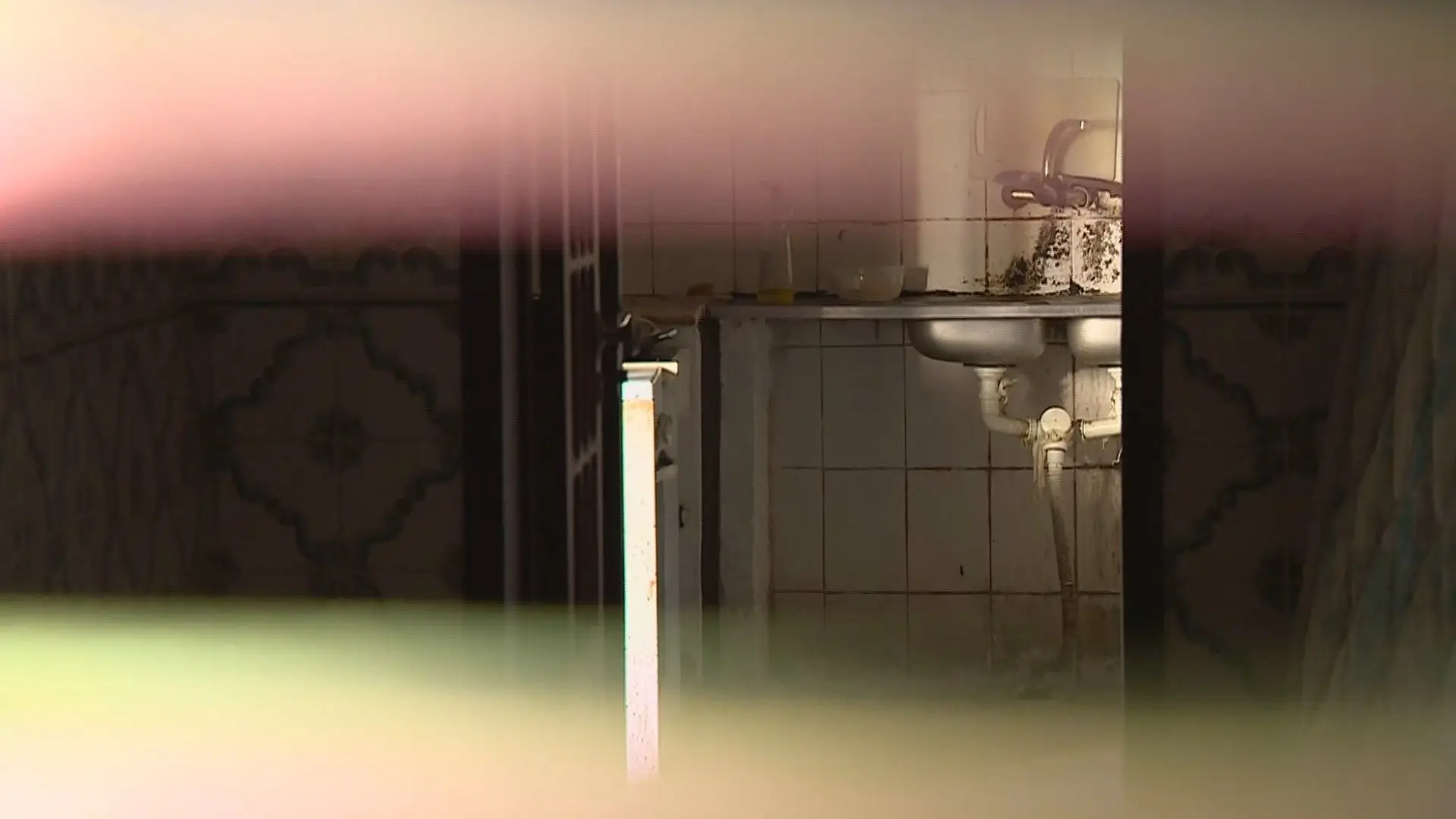 Dormiam amontoados, trabalhavam de sol a sol: a escravatura moderna na planície alentejana