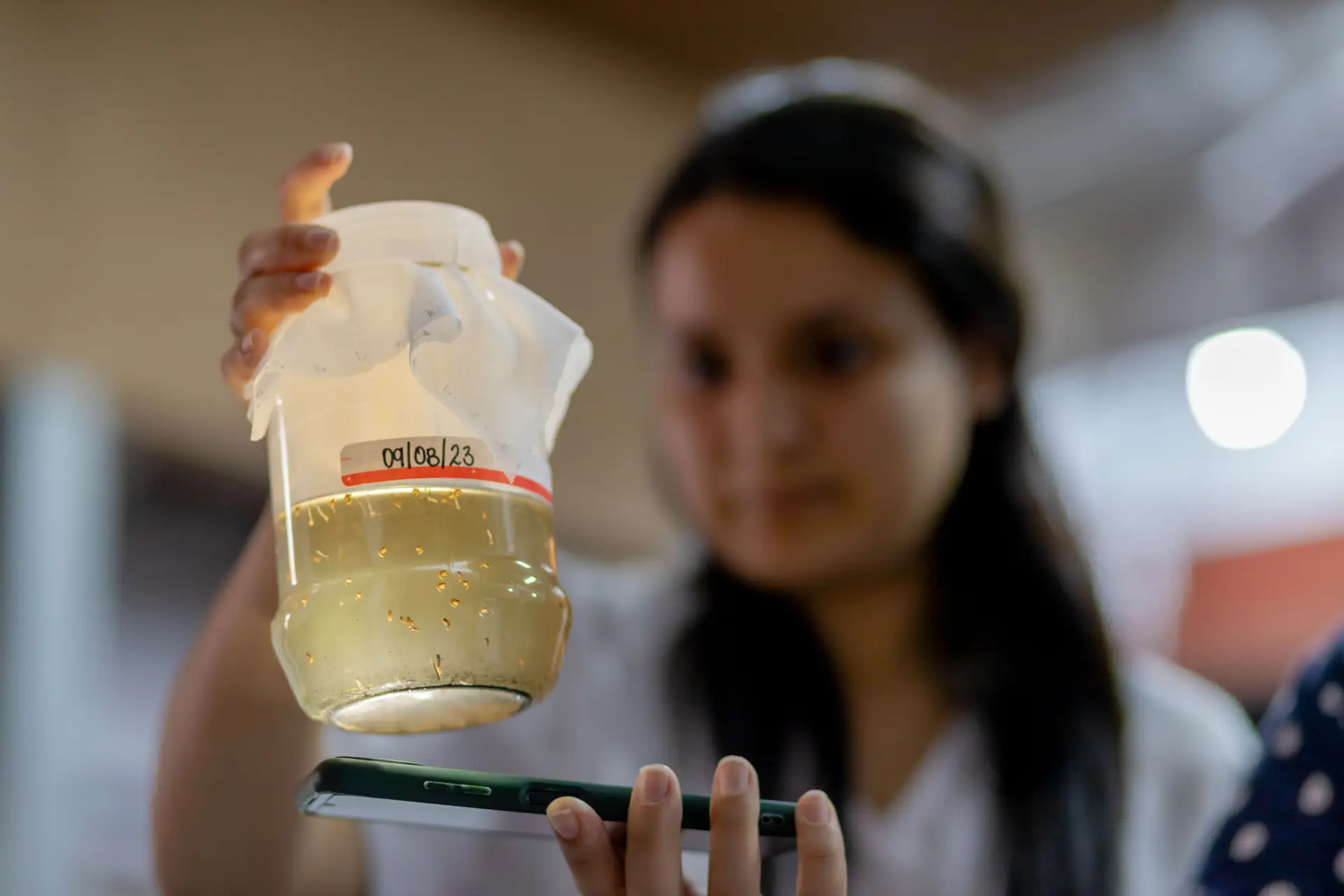 Honduras: Médicos Sem Fronteiras conclui projeto pioneiro contra dengue com resultados promissores