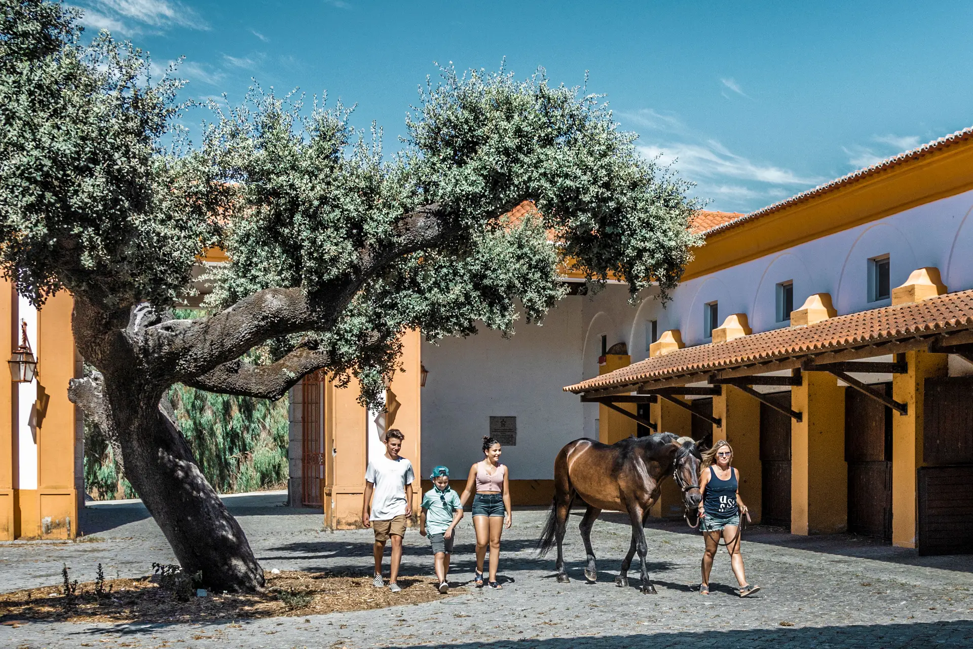 Roteiro De Fim De Semana Em Fam lia Pelo Alentejo SIC Not cias roteiro-de-fim-de-semana-em-fam-lia-pelo-alentejo-sic-not-cias