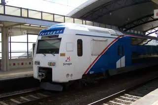 O que se passa com a Fertagus? Comboios lotados e atrasos constantes são as queixas dos utentes