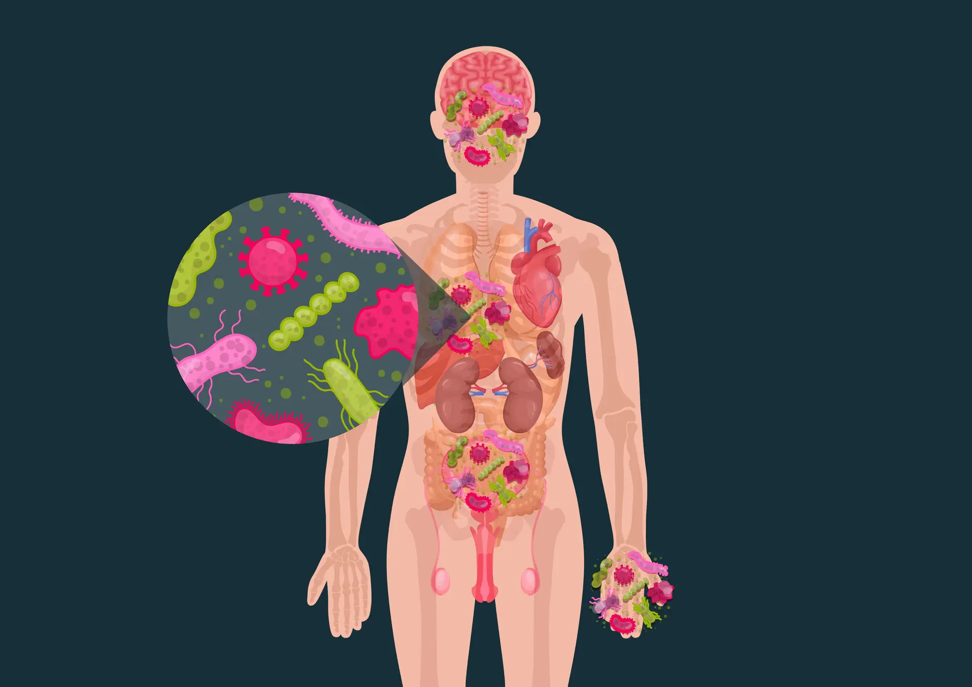 Microbioma: o poder que o intestino tem sobre a saúde e até no comportamento