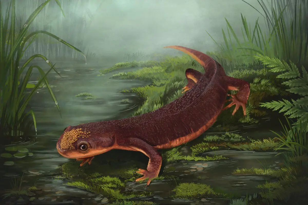 Descoberta nova espécie de anfíbio do Jurássico na Lourinhã