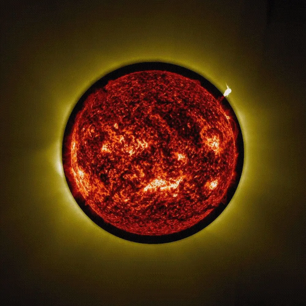 A coroa solar interior, a parte mais quente da atmosfera da nossa estrela, surge num tom amarelo claro nesta sequência de imagens captadas pelo coronógrafo ASPIICS a bordo da sonda Proba-3. A missão Proba-3 da Agência Espacial Europeia consiste em duas naves espaciais capazes de voar em formação precisamente controlada para criar eclipses solares artificiais em órbita. Esta animação combina dados do coronógrafo ASPIICS da Proba-3 (coroa solar interior a amarelo) e do Conjunto de Imagens Atmosféricas (AIA) a bordo do Observatório de Dinâmica Solar da NASA (disco solar a laranja escuro).
