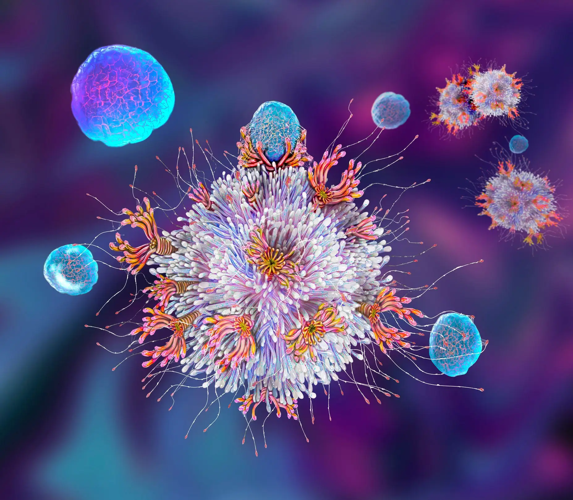 Ilustração das células T, ou linfócitos T, componentes do sistema imunitário do organismo que reconhecem um local específico (antigénio) na superfície de agentes patogénicos ou corpos estranhos, ligam-se a ele e produzem anticorpos para o eliminar.