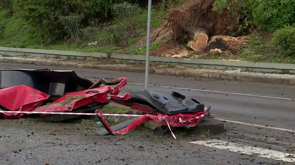 Um morto em Povos, Vila Franca de Xira, no distrito de Lisboa, após a queda de uma árvore em cima da viatura ligeira em que seguia