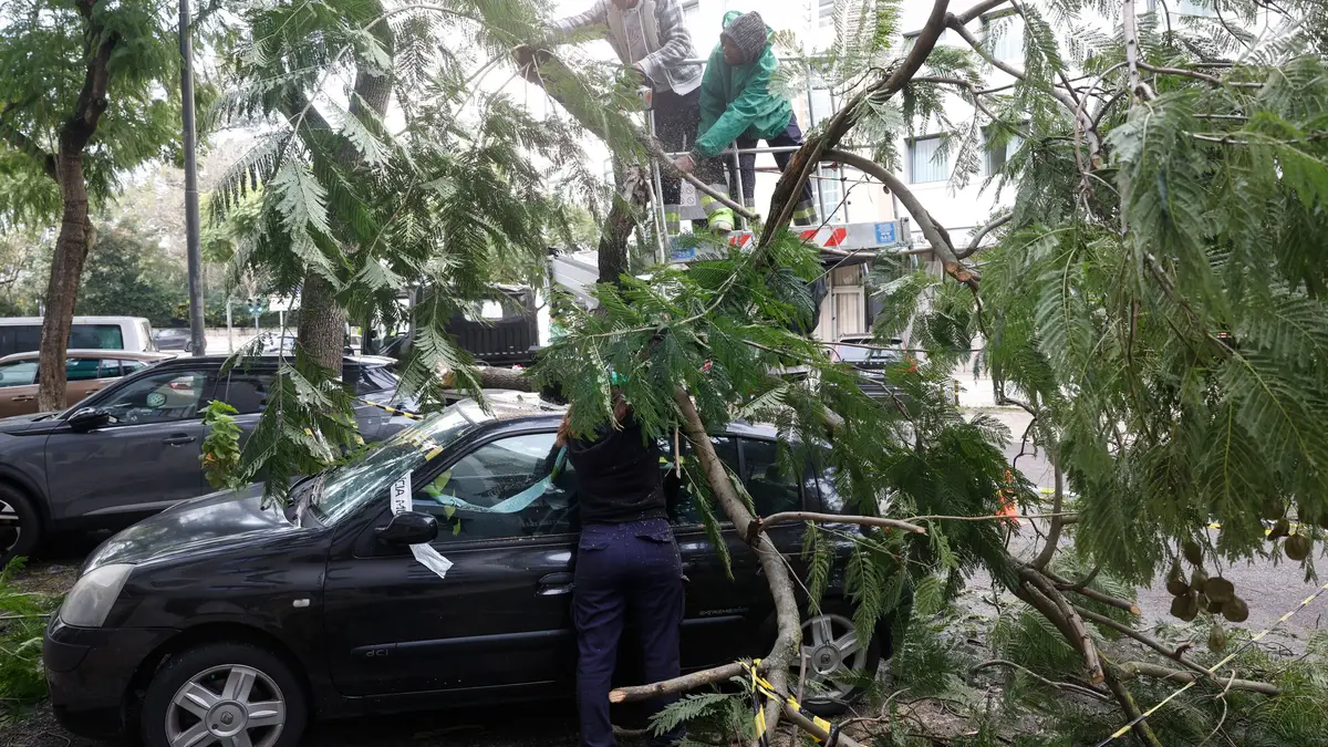 Trabalhadores da Câmara Municipal de Lisboa (CML), retiram uma árvore caída em cima de um automóvel