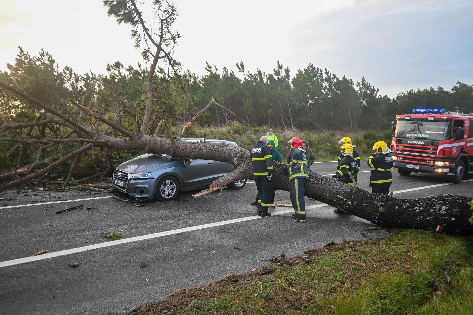 Devido à passagem da depressão Kristin, uma árvore de grande porte caiu sobre uma viatura que circulava na Estrada Atlântica, entre Salir do Porto e Foz do Arelho, nas Caldas da Rainha, em 28 de janeiro de 2026.